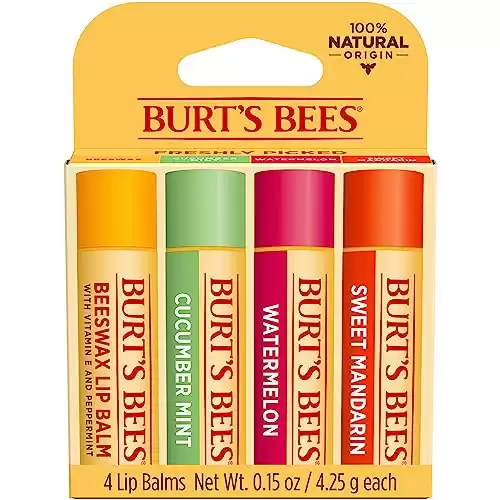 Burt's Bees Lip Balm Moisturizing Lip Care 100% Natural (4-Pack)